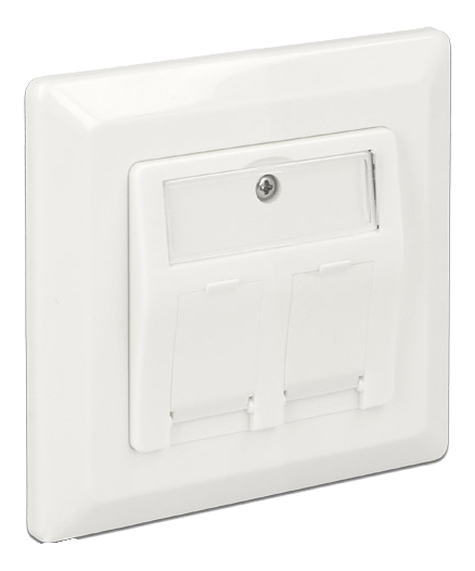 Delock Keystone Wall Outlet 2 Port