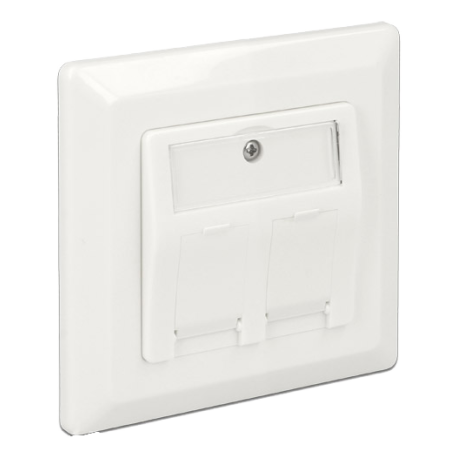 Delock Keystone Wall Outlet 2 Port