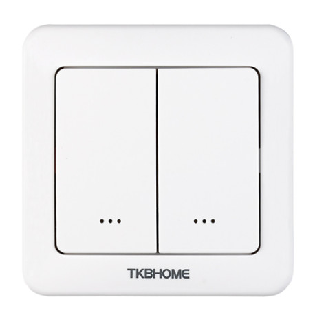 TKB Home Wallswitch with Dual Paddle