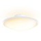 Philips Hue COL Tone Phoenix Taklampa