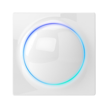 Fibaro Walli Switch