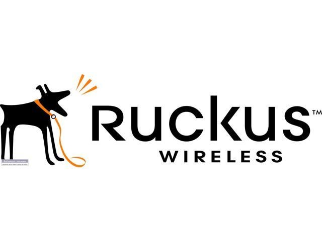 Ruckus Wireless License End User WatchDog Support Per SZ/(v) SZ AP, 5 YR