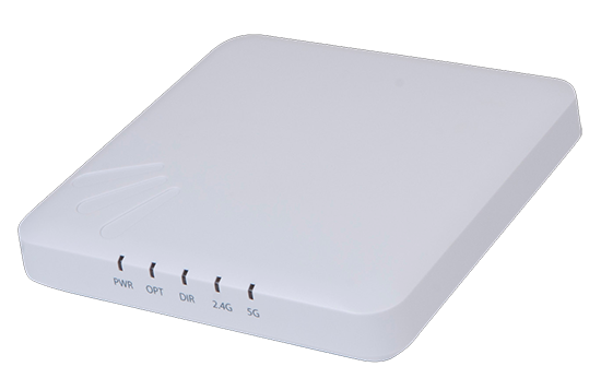 ZoneFlex R300 11n AP dual band